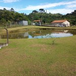 Clínicas de Recuperação em Santo Antônio do Descoberto, Valparaíso de Goiás, Novo Gama e Região: Internação Humanizada e